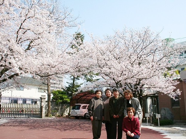桜と婦人会